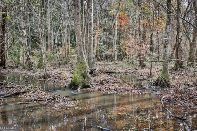 a view of a lake with a large building