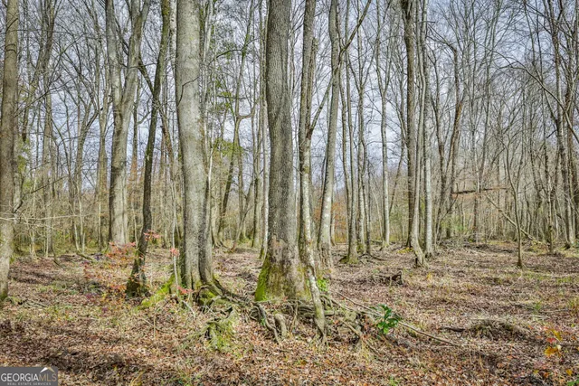 a view of outdoor space with chairs