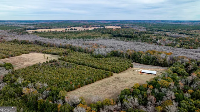 a view of a bunch of trees and bushes
