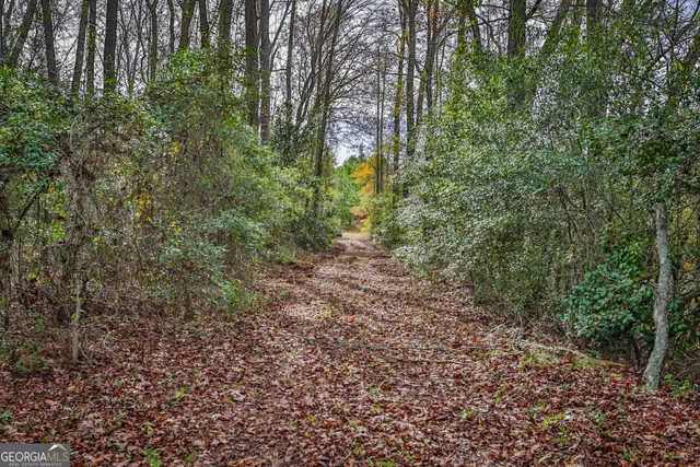 a view of a yard with plants and trees