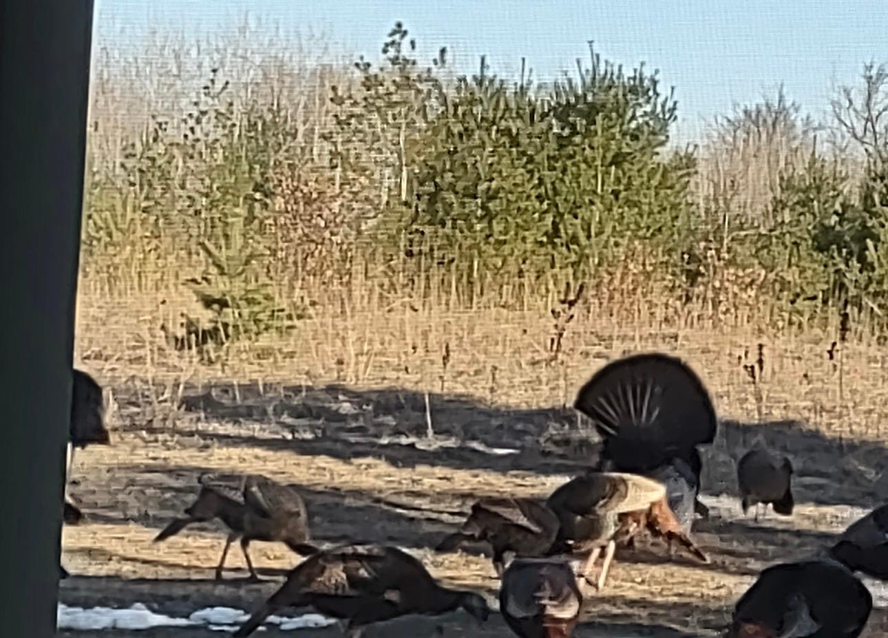 27924 Marget Lake Road Northwest Isanti, MN 55040 - Photo 25 of 31