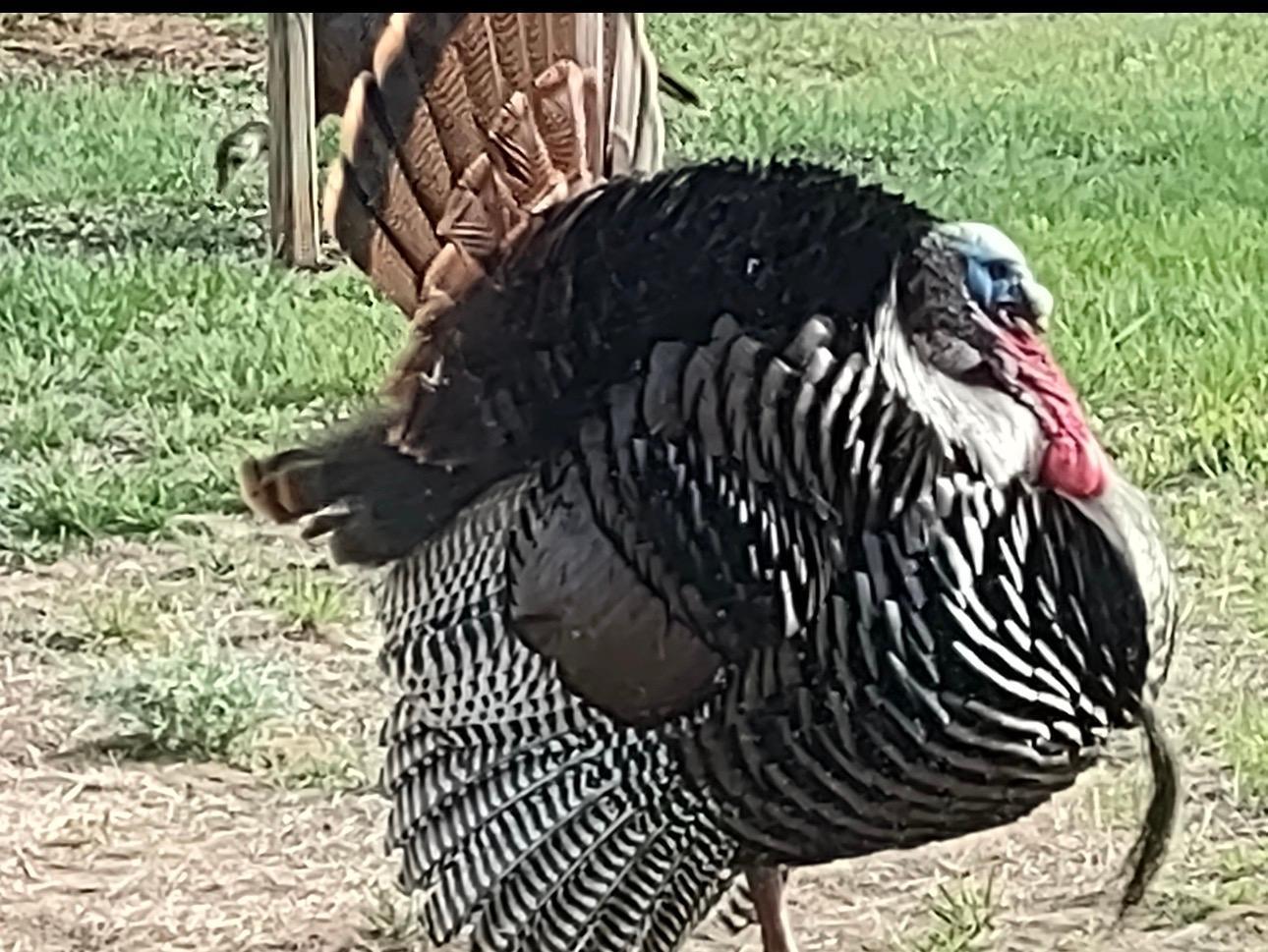 27924 Marget Lake Road Northwest Isanti, MN 55040 - Photo 26 of 31