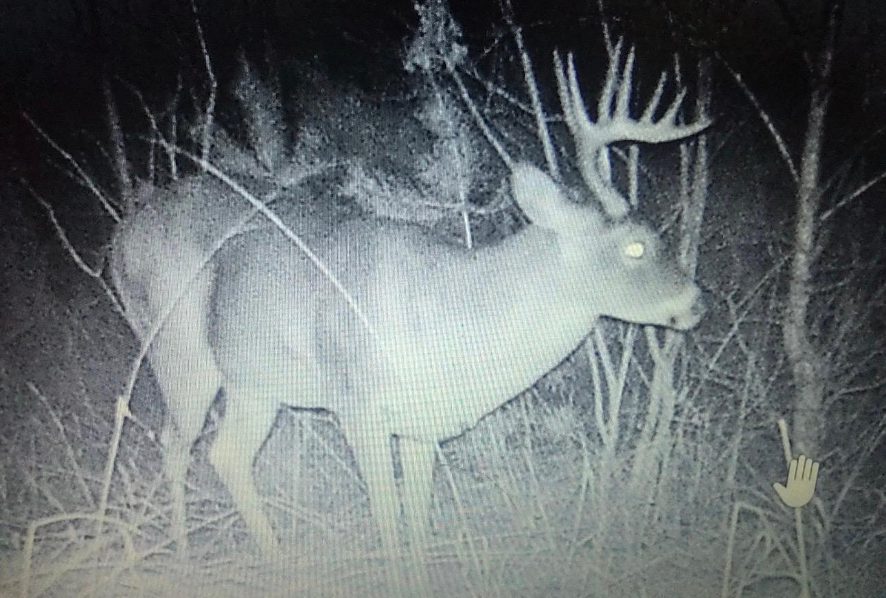 27924 Marget Lake Road Northwest Isanti, MN 55040 - Photo 27 of 31