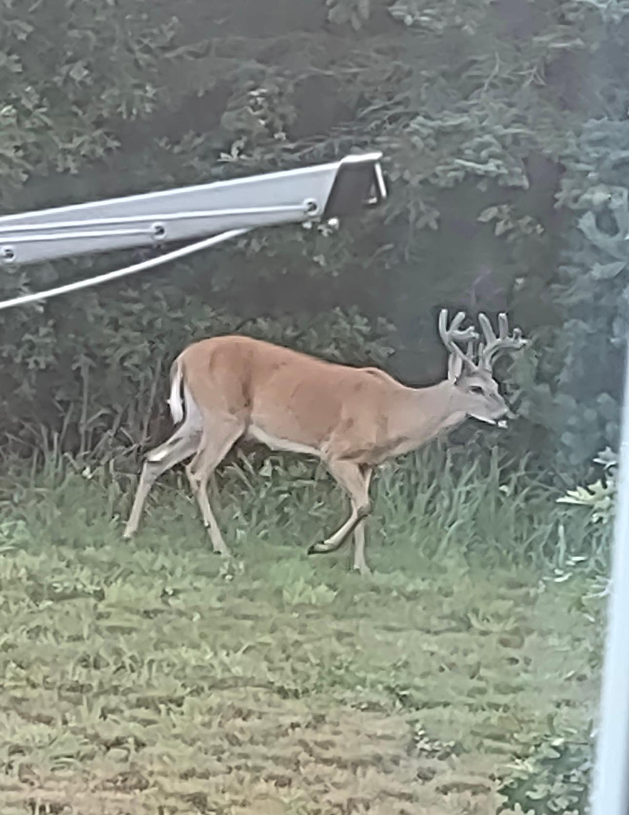 27924 Marget Lake Road Northwest Isanti, MN 55040 - Photo 28 of 31