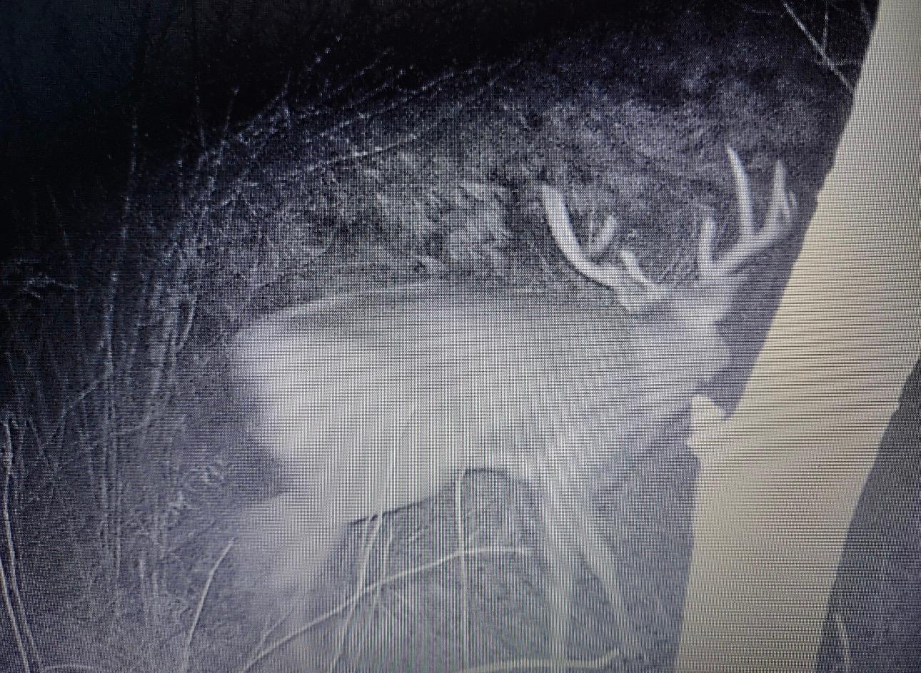 27924 Marget Lake Road Northwest Isanti, MN 55040 - Photo 29 of 31