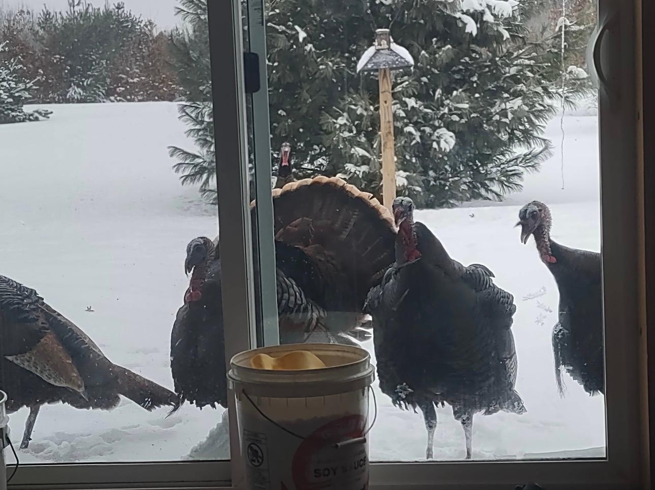 27924 Marget Lake Road Northwest Isanti, MN 55040 - Photo 30 of 31