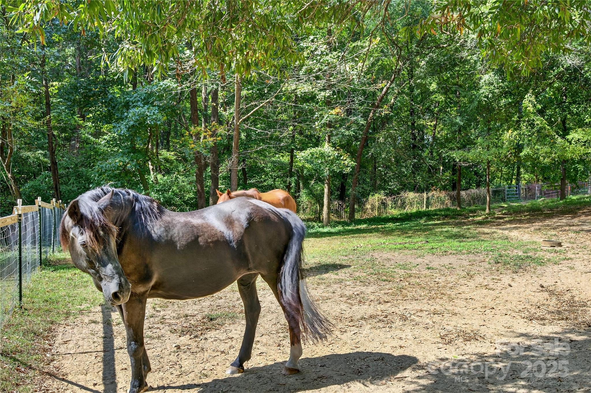 205 Airport Road Monroe, NC 28110 - Photo 22 of 46