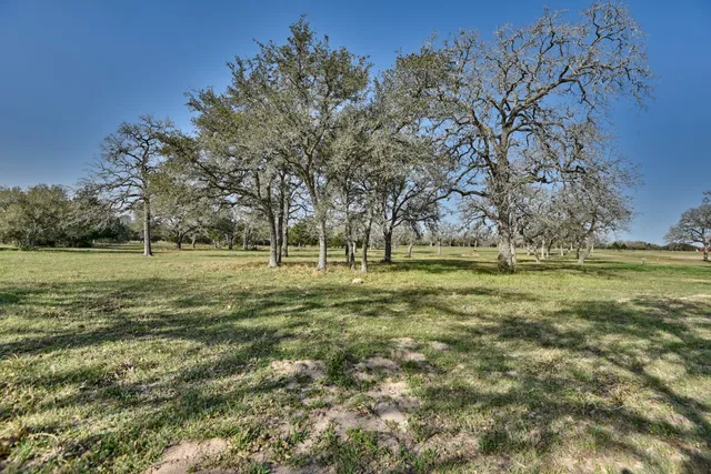 a view of a green field