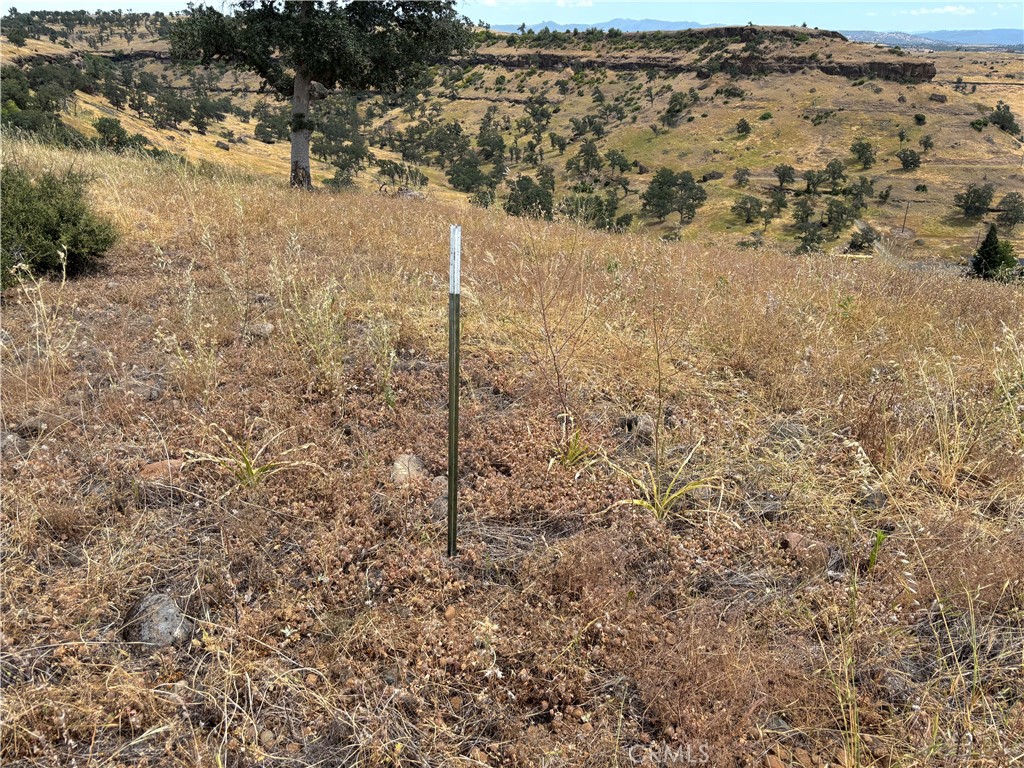 0 Cobble Creek Road Oroville, CA 95965 - Photo 41 of 55 a view of a dry yard