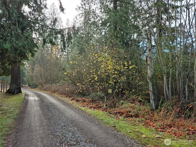 a view of outdoor space with lots of trees