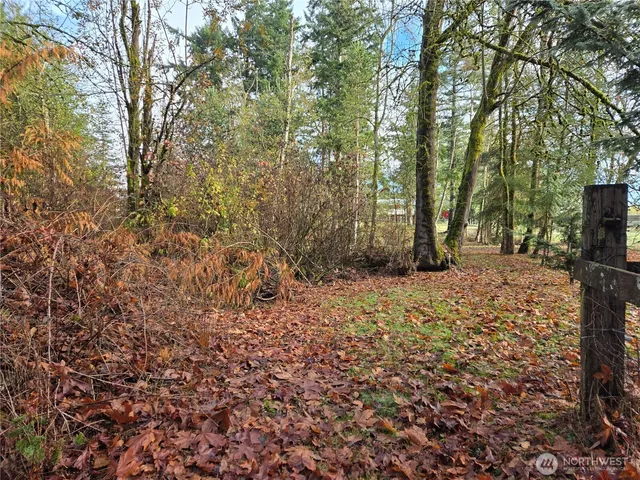 a view of outdoor space with deck and trees