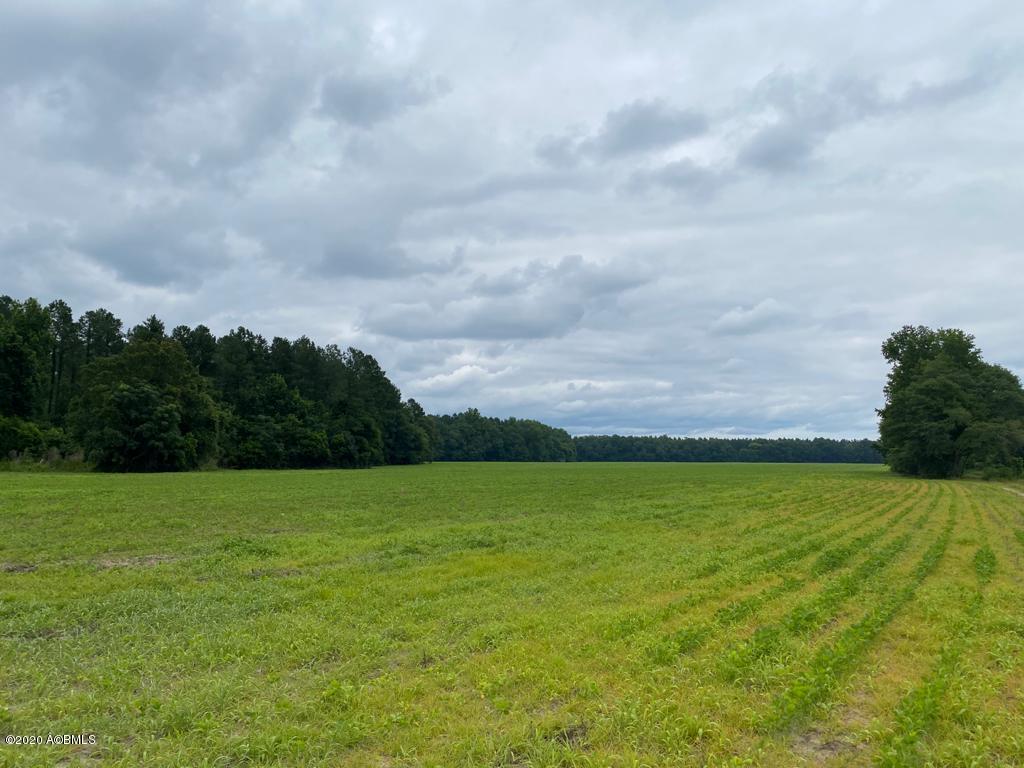 2666 Croaker Swamp Road Brunson, SC 29911 - Photo 1 of 26 WhatsApp Image 2020-06-17 at 2.38.22 PM