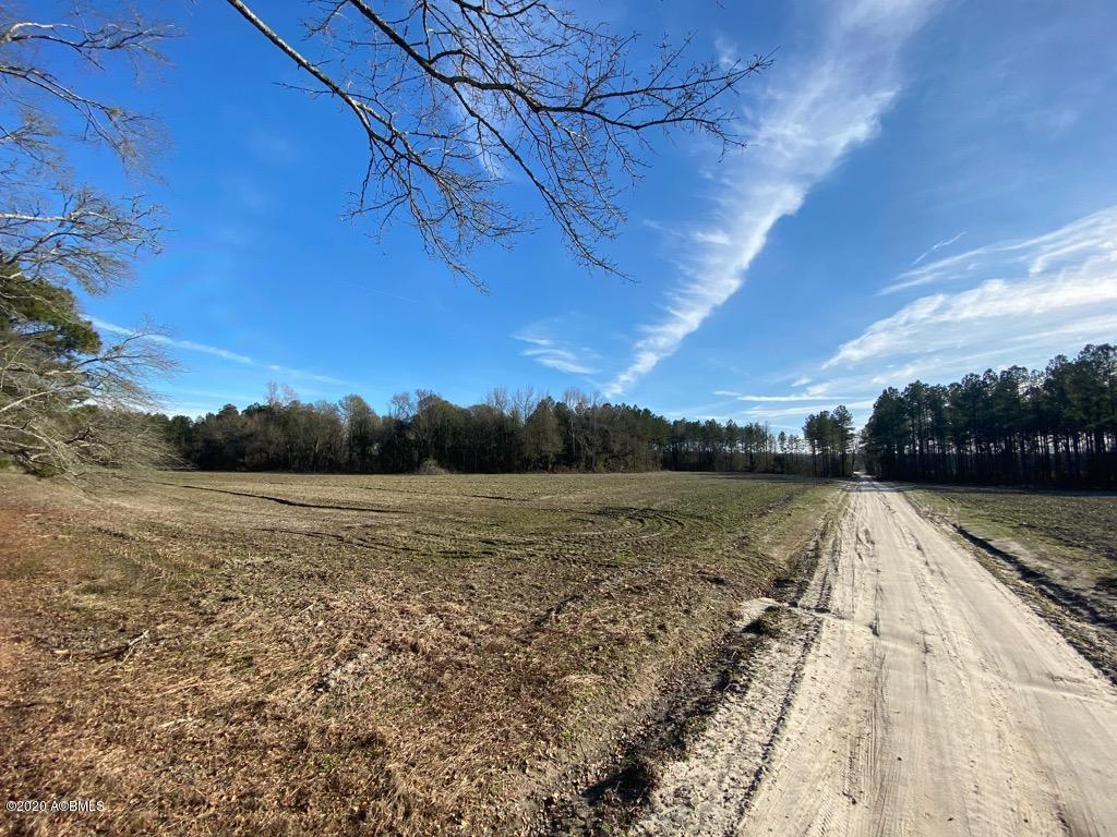 2666 Croaker Swamp Road Brunson, SC 29911 - Photo 11 of 26 IMG_1154