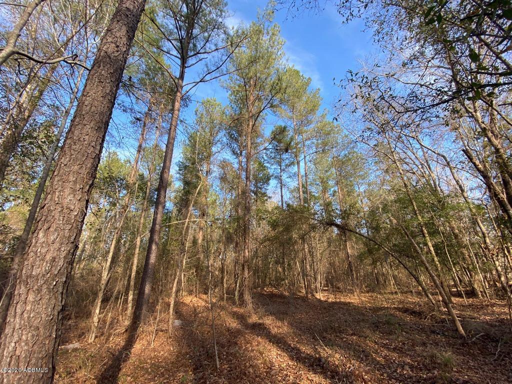 2666 Croaker Swamp Road Brunson, SC 29911 - Photo 13 of 26 IMG_1156