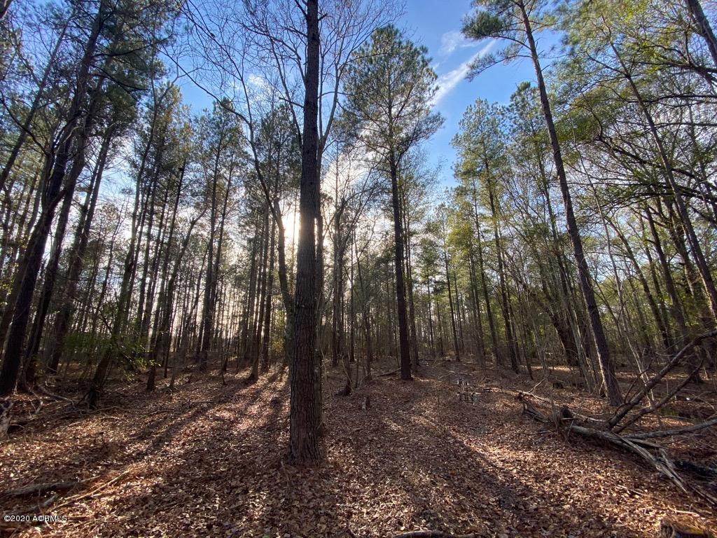 2666 Croaker Swamp Road Brunson, SC 29911 - Photo 15 of 26 IMG_1158