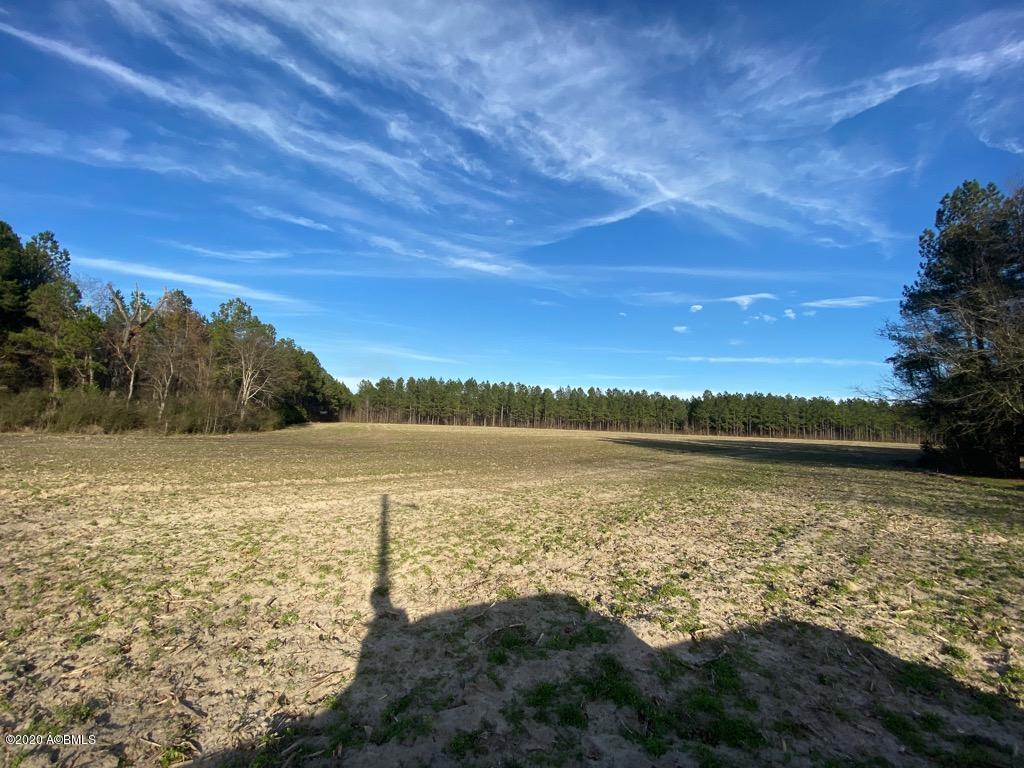 2666 Croaker Swamp Road Brunson, SC 29911 - Photo 23 of 26 IMG_1171
