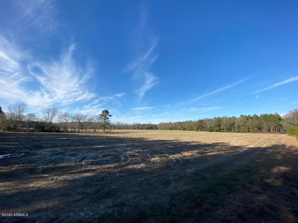 2666 Croaker Swamp Road Brunson, SC 29911 - Photo 5 of 26 IMG_1144