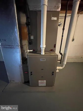 a view of a yard with plants