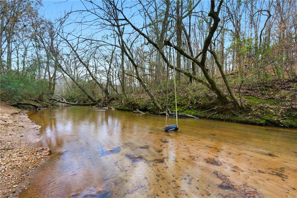 1295 Double Bridges Road Winder, GA 30680 - Photo 56 of 57 a view of a lake with a tree