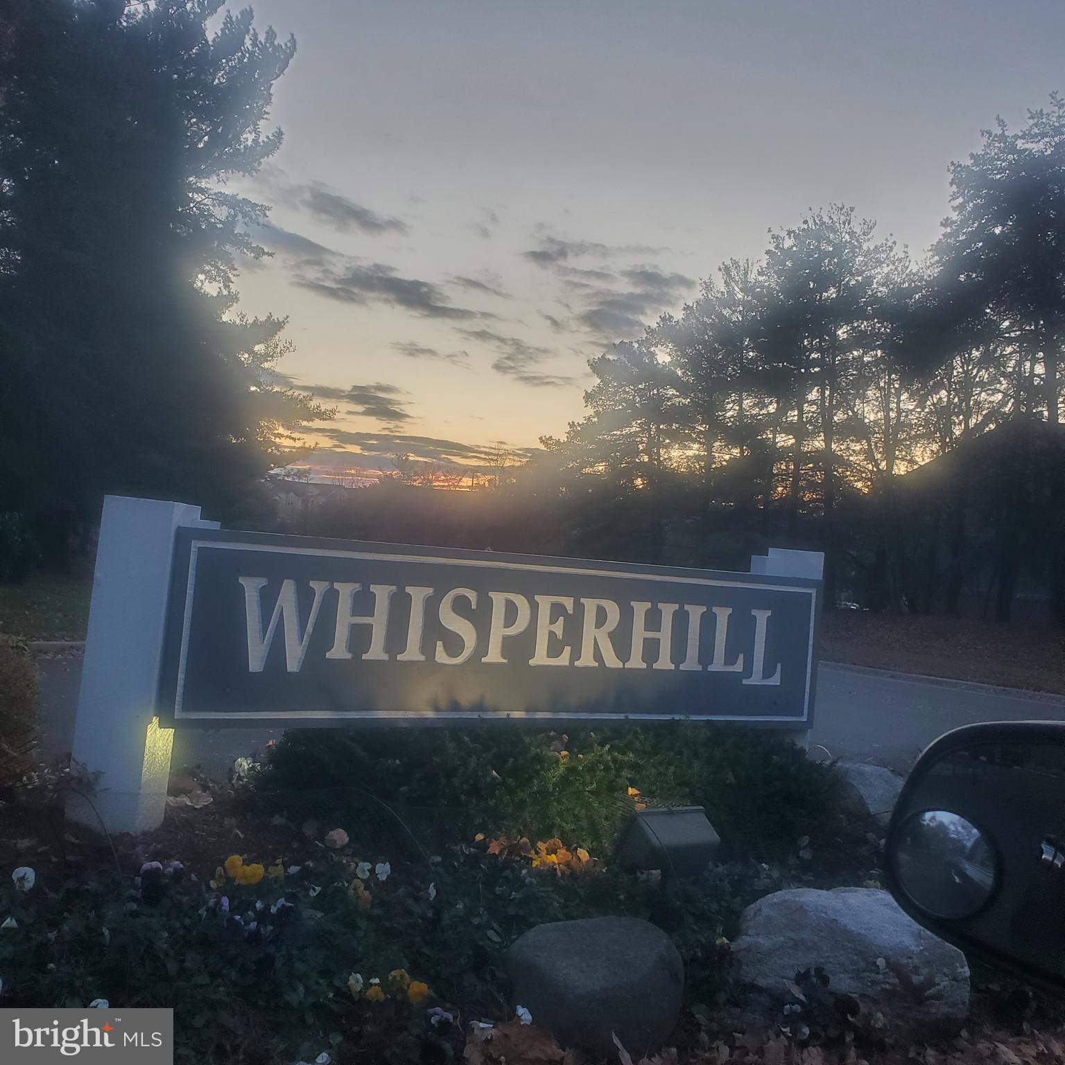 a view of street sign