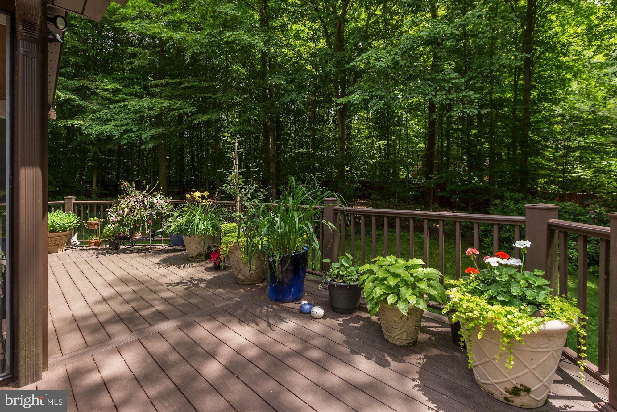 17007 Barn Ridge Drive Silver Spring, MD 20906 - Photo 22 of 47 Deck