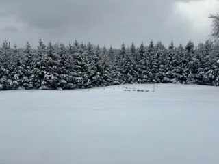 $500,000 | 111 Que Vista Drive West, Catlin, NY 14845