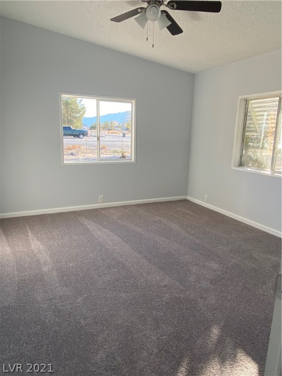 141 Gilmore Road Pahrump, NV 89060 - Photo 9 of 17 Gallery Image 9