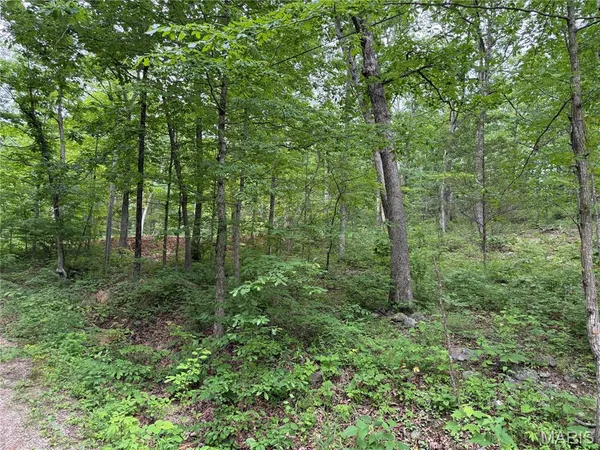 $4,900 | 0 Lot 84 Mallard Road, Middle Brook, MO 63656