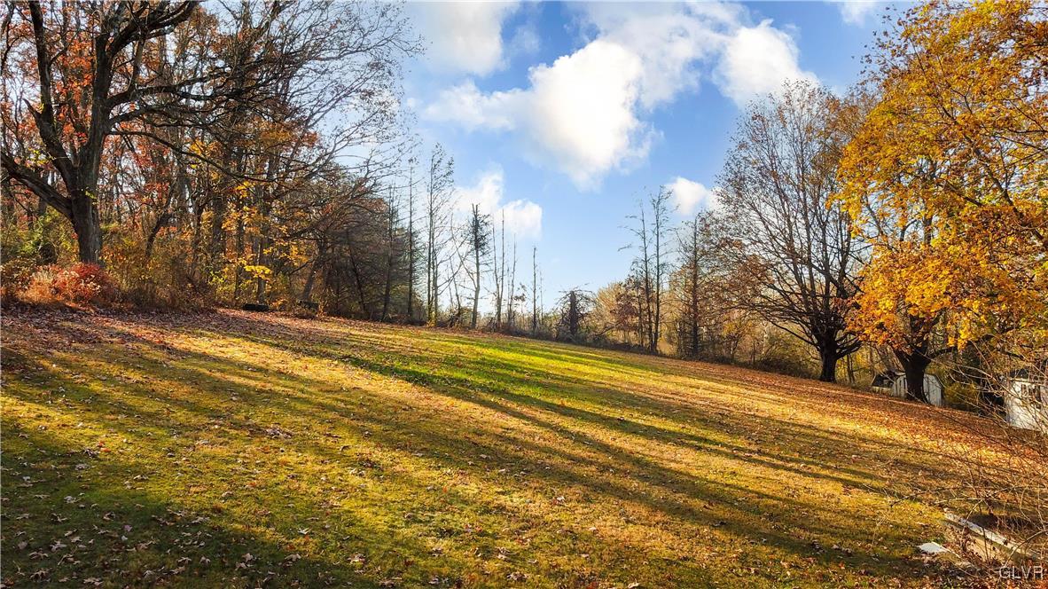 1802 Moselem Spring Road Hamburg, PA 19526 - Photo 5 of 50 a view of a yard with large trees