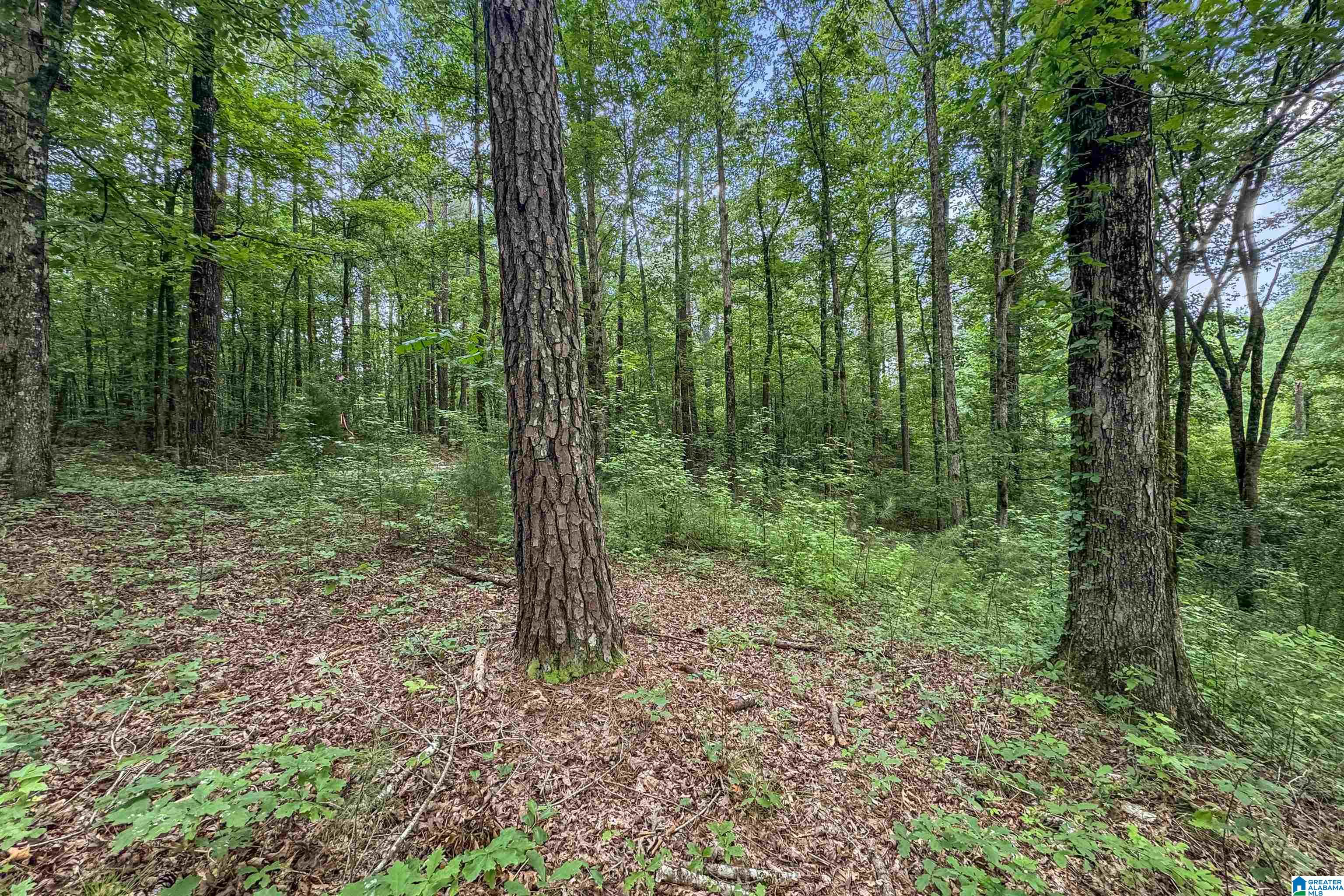 0 Red Oak Circle Helena, AL 35080 - Photo 16 of 21