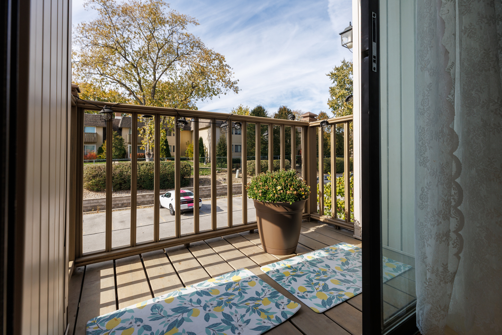7353 Blackburn Avenue, Unit K206 Downers Grove, IL 60516 - Photo 20 of 24 a view of a porch