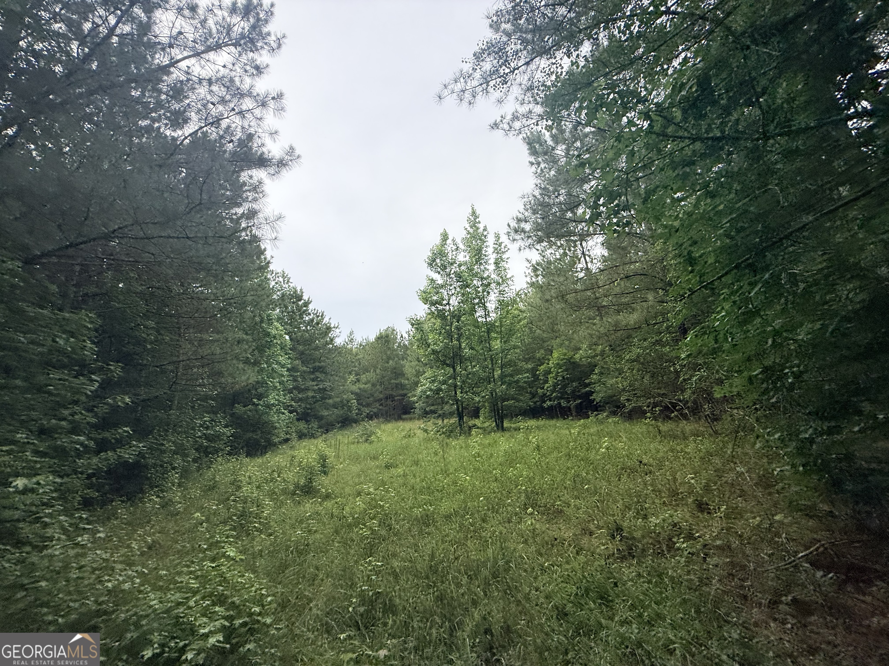 3 Bethesda Church Road Lexington, GA 30648 - Photo 33 of 60