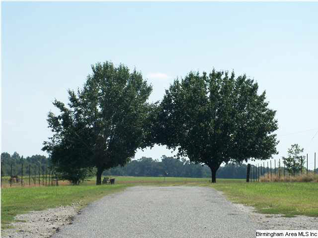 320 Baggett Road Thorsby, AL 35171 - Photo 24 of 26