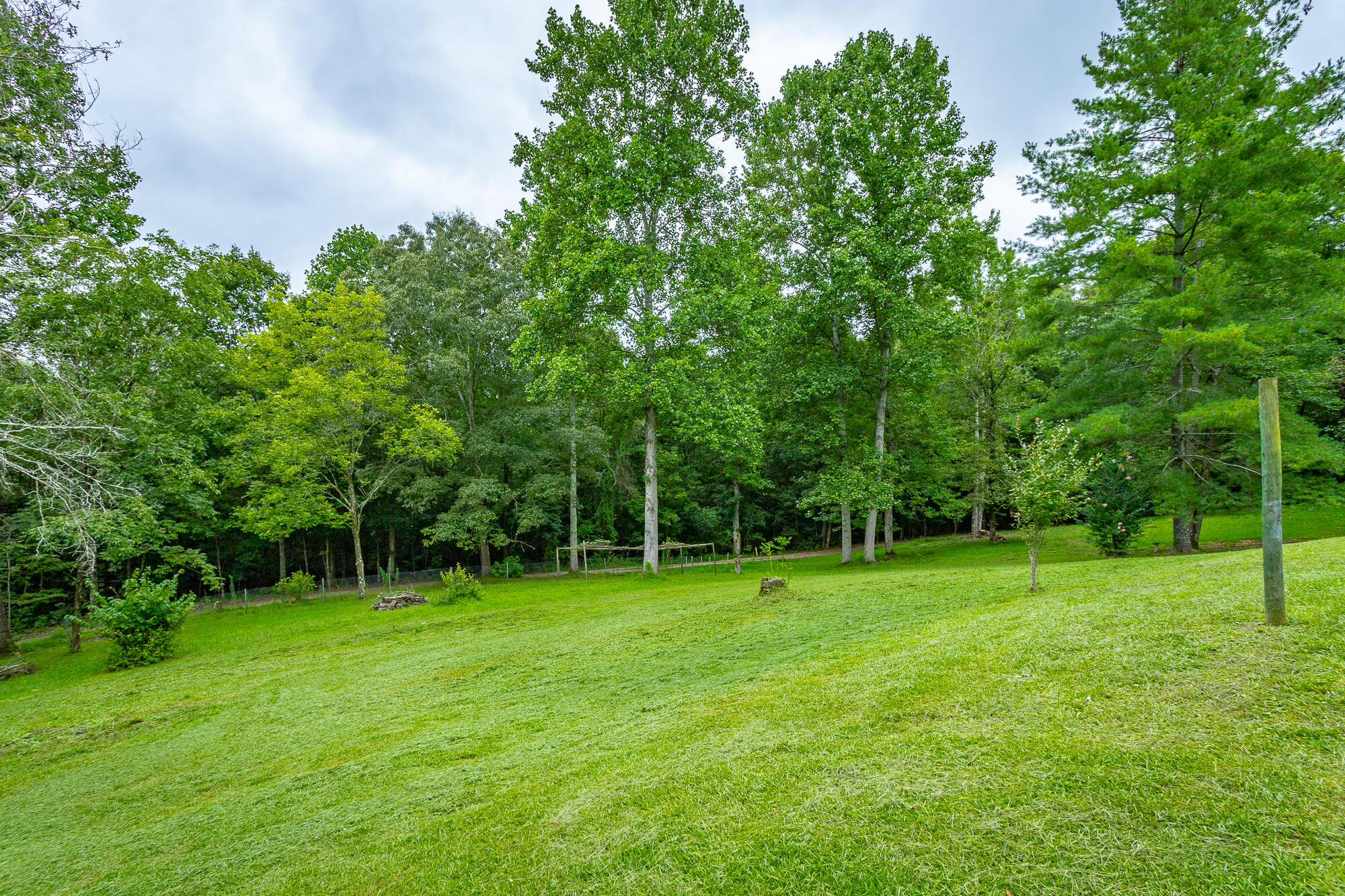 3300 Halls Valley Road Trion, GA 30753 - Photo 21 of 38 3300 Halls Valley Road HD-46