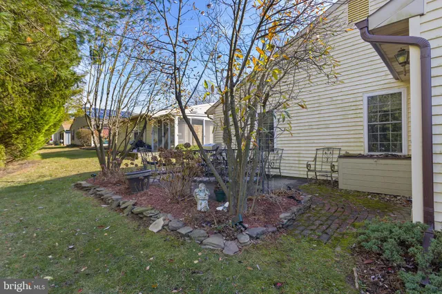 a view of a backyard with a tree