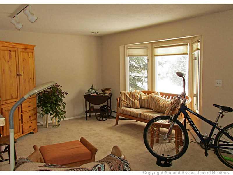 192 Alpine Road Dillon, CO 80435 - Photo 3 of 23 a living room with furniture and a large window