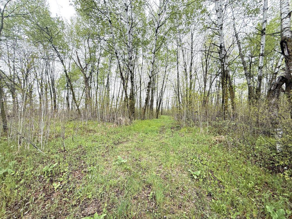 36 Co Highway 36 Frazee, MN 56544 - Photo 44 of 61