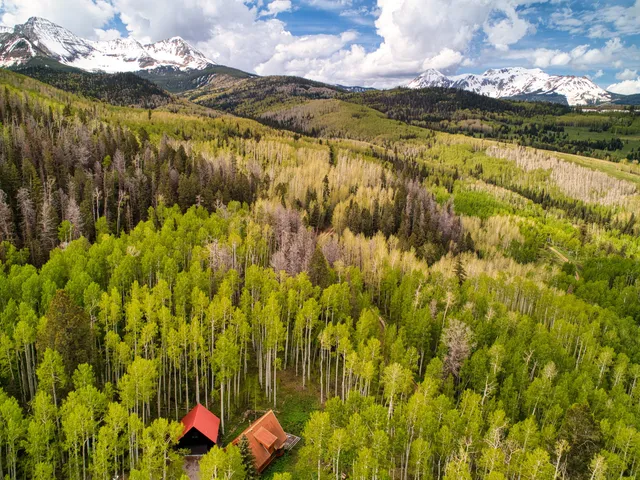 a view of a lake with a building in the background