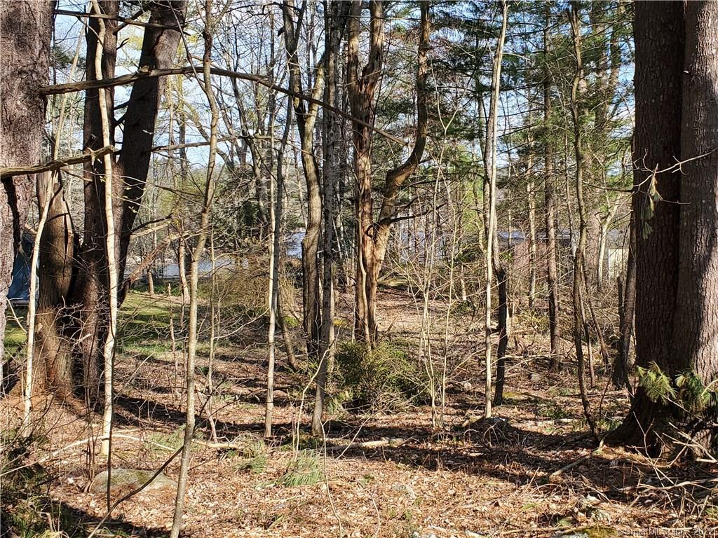 0 Walnut Road Woodstock Valley, CT 06282 - Photo 1 of 1 Gallery Image 1
