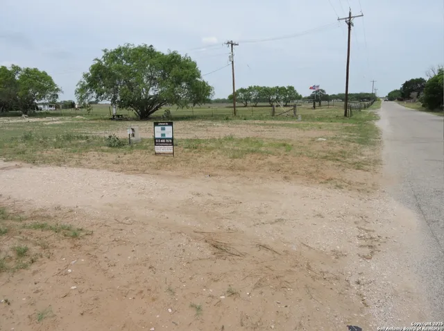a view of a lake with a large trees