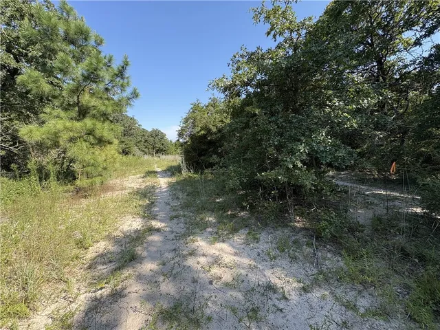 a view of a lake with lots of trees