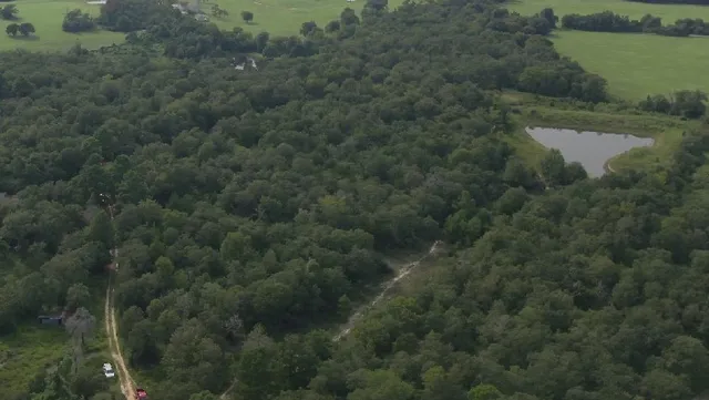 a view of a forest with a houses