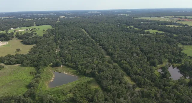 a view of a lake with a city