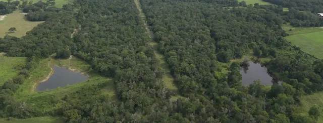 a view of a lake from a yard