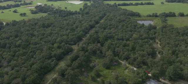 a view of a field of grass and trees