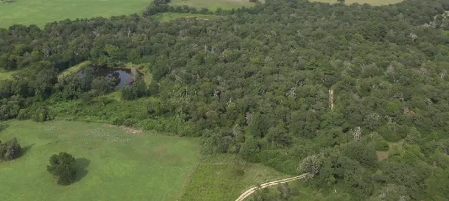 a view of a field of grass and trees
