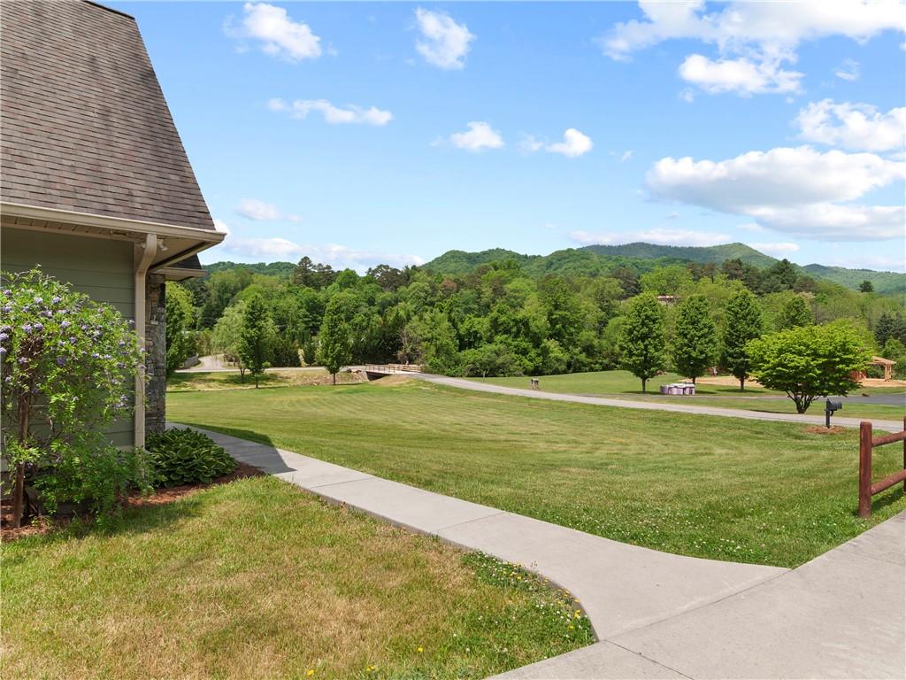 62 Vision Road Canton, NC 28716 - Photo 35 of 45 a view of a big yard with a large trees