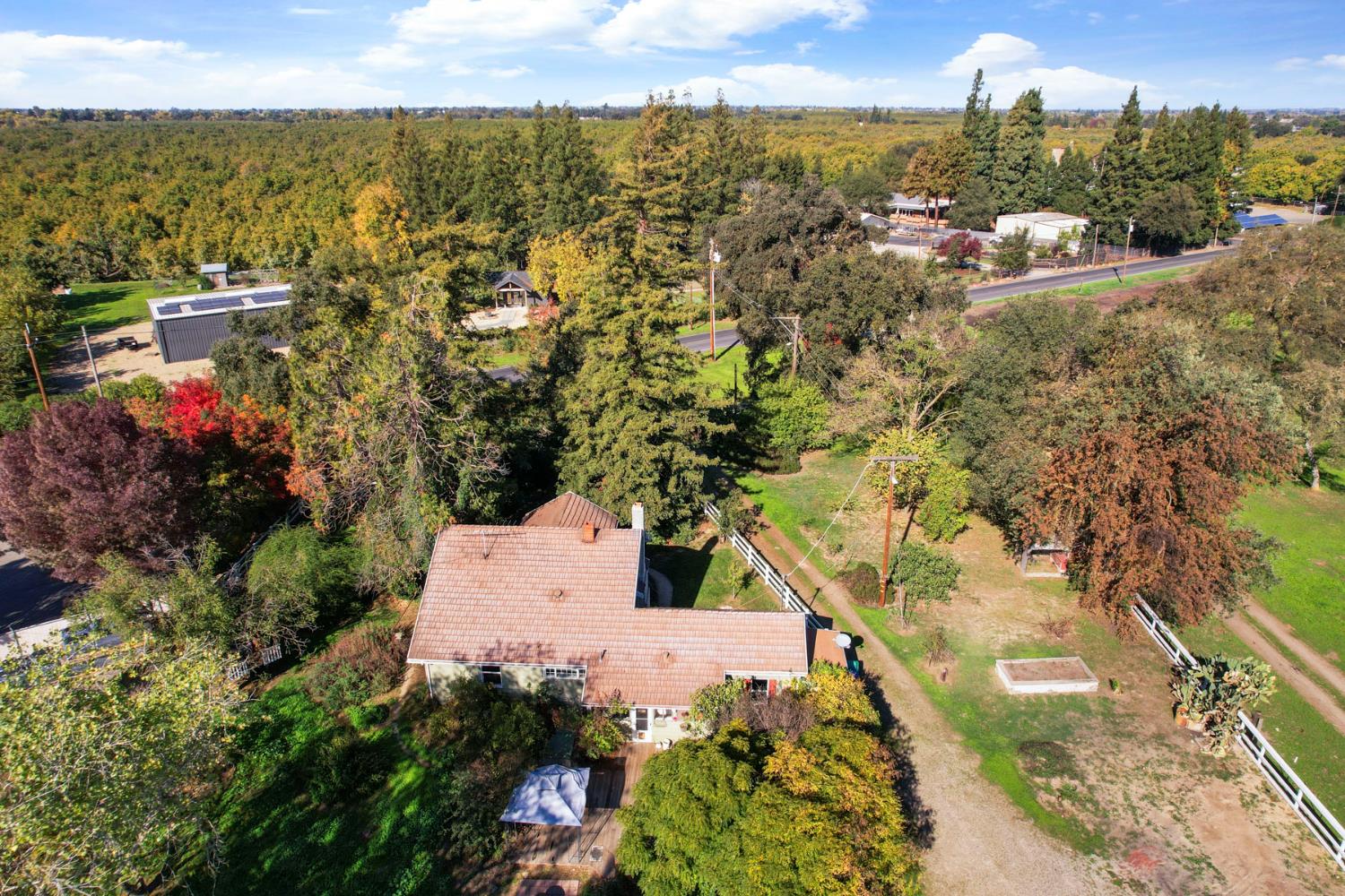 12718 Locke Road Lockeford, CA 95237 - Photo 19 of 43