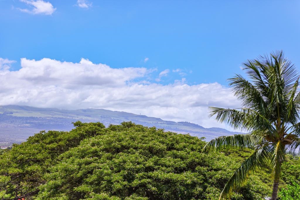 938 South Kihei Road, Unit 421 Kihei, HI 96753 - Photo 18 of 35