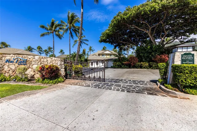 a view of a backyard with plants